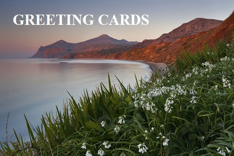 card-greetings