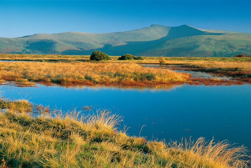 Pen y Fan from Mynydd Illtyd