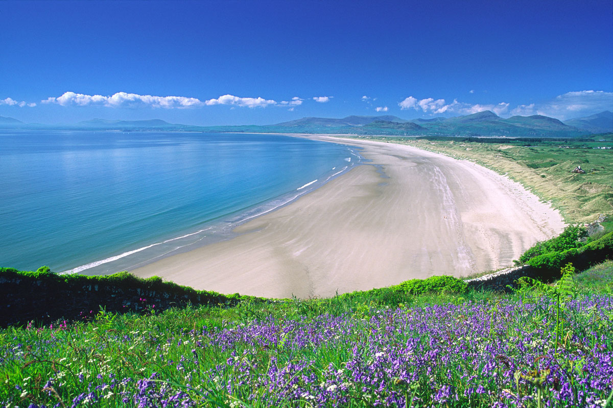 Harlech Beach