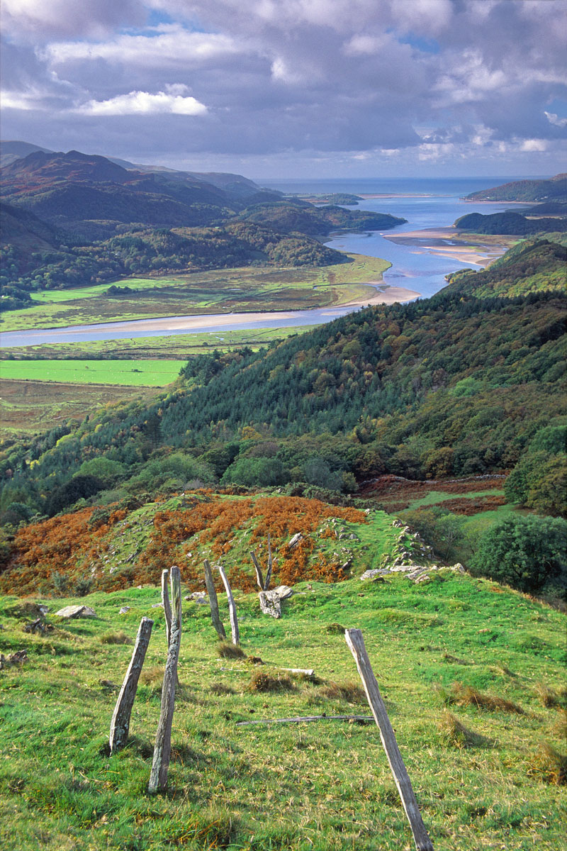 High above the Mawddach Estuary