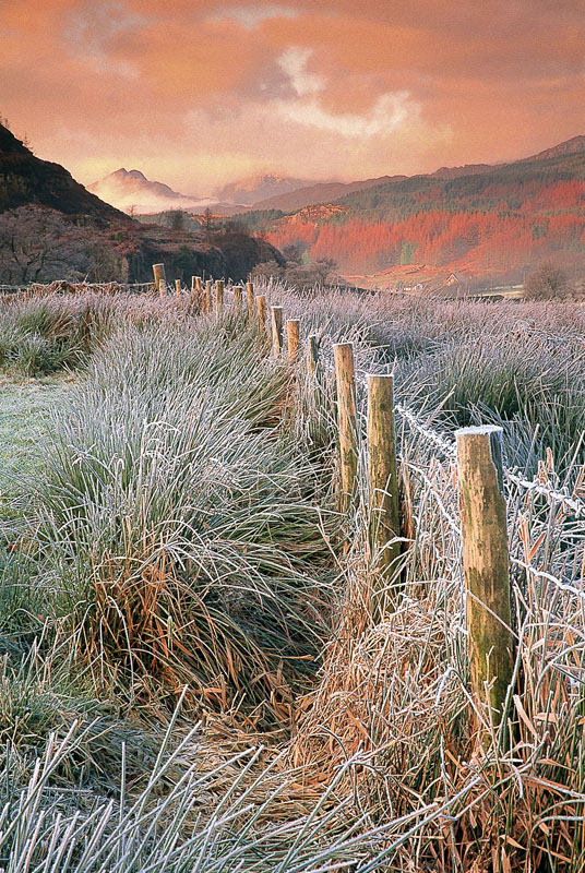 Frosty morning in the Lledr valley