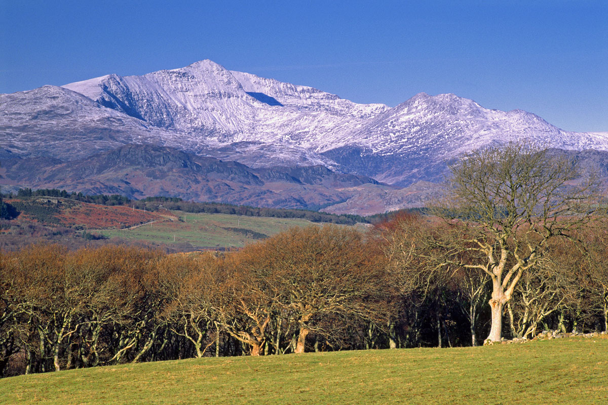 Snowdon