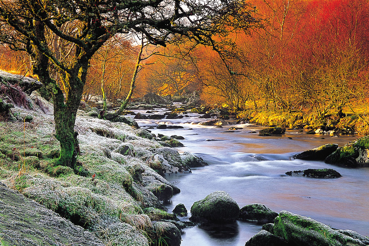 Frosty riverbank