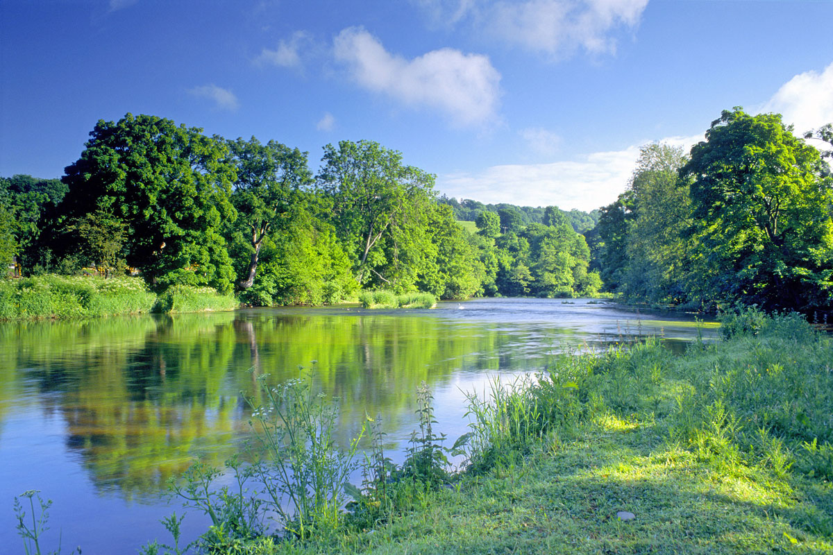 Beside the river