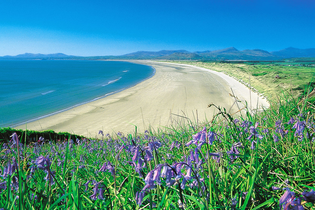 Harlech Beach