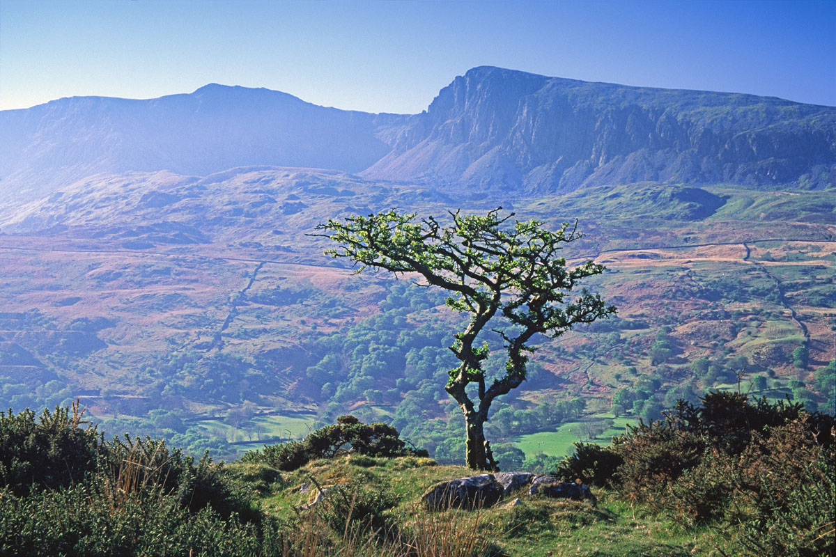 Cader Idris