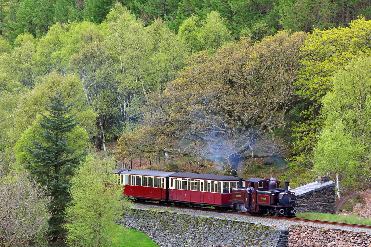 Ffestiniog Railway - Merddin Emrys at Tank Curve