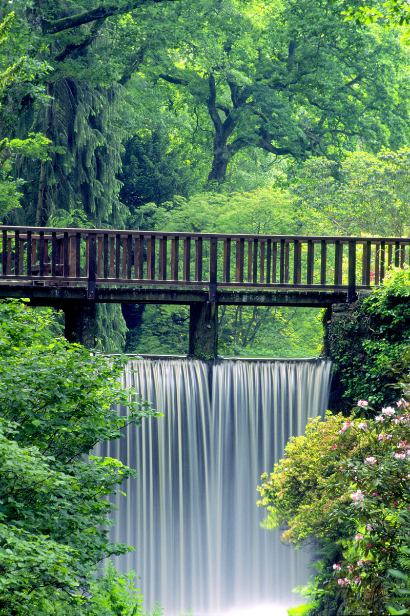 Bodnant Gardens - the Waterfall