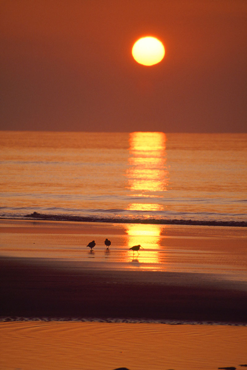 Sunset from Llandanwg Beach