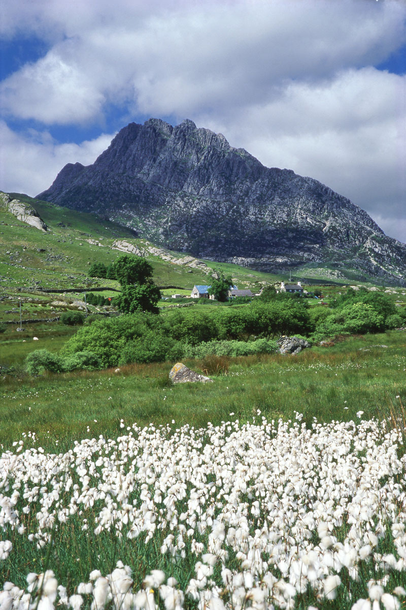 Tryfan