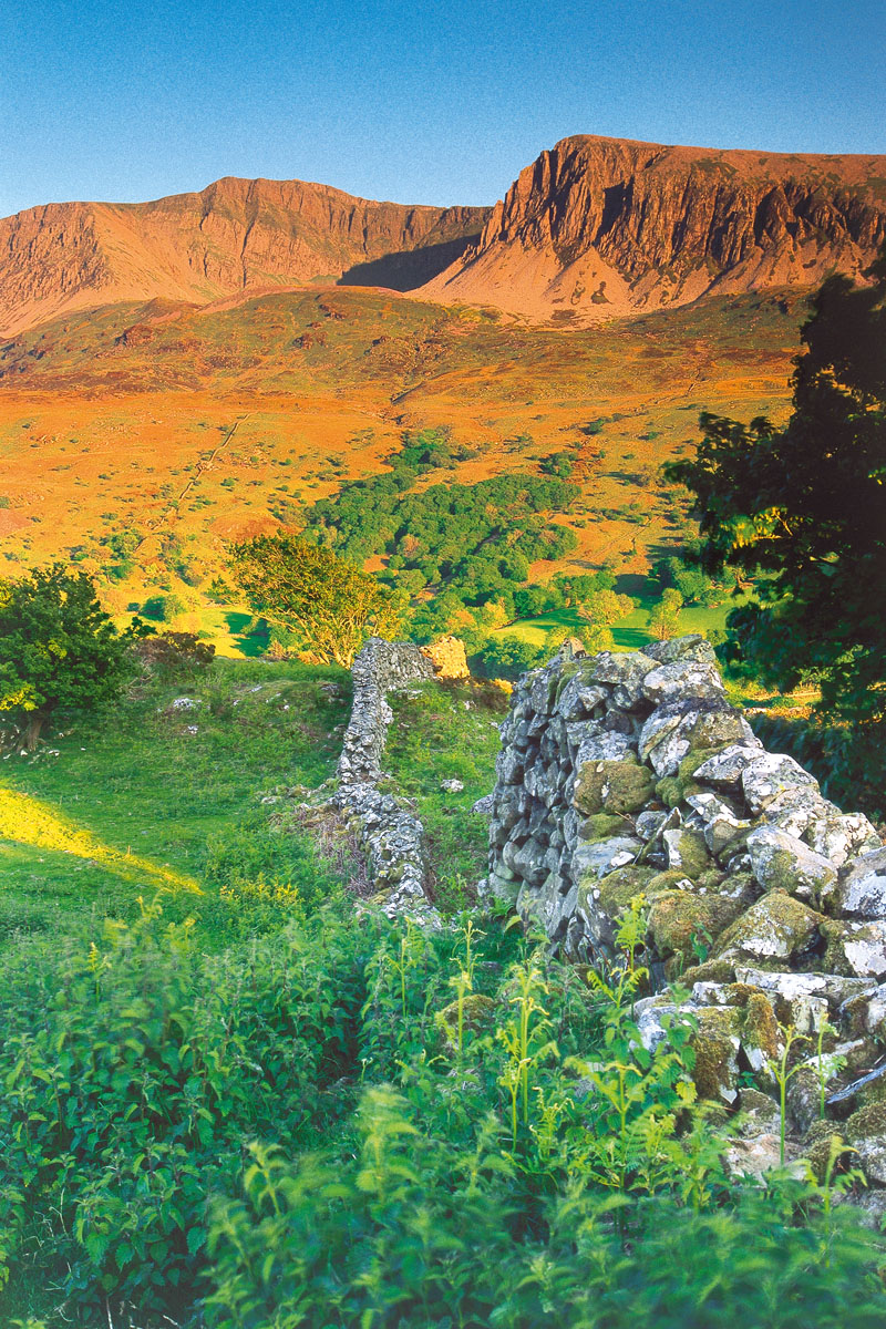 Evening Light on Cader Idris