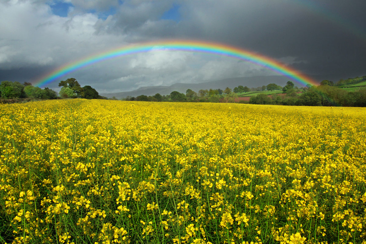 Sun and showers