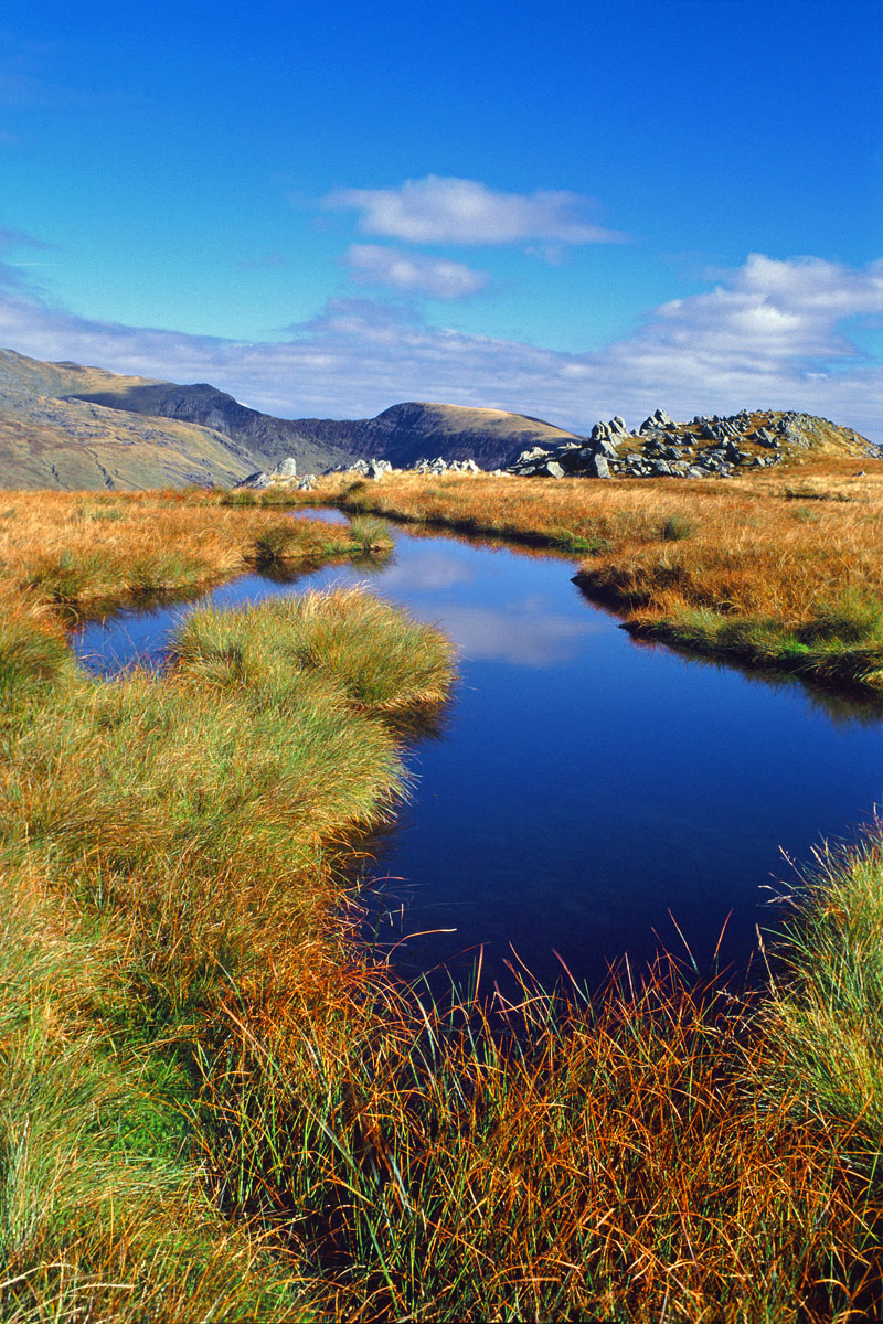 Mountain wilderness