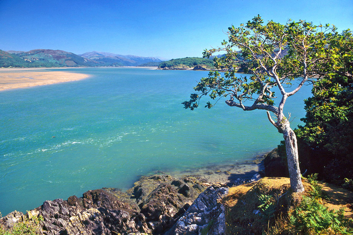 Quiet moments by the Mawddach