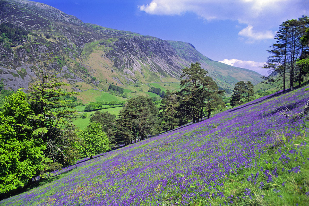 Colours of the valley