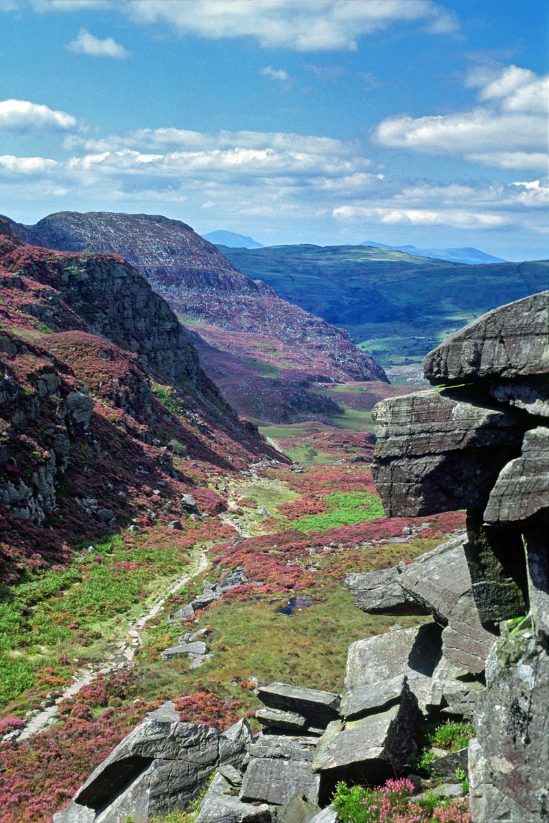 The Roman Steps, Cwm Bychan