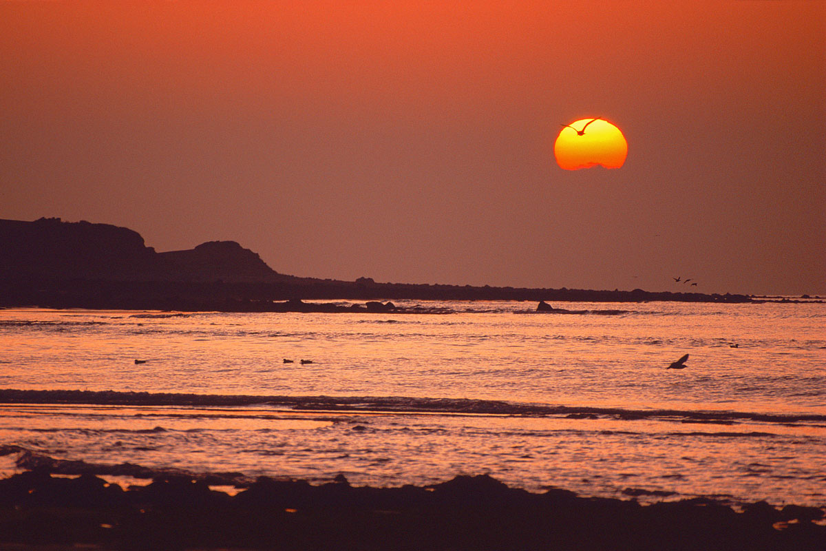 Sunset over Shell Island