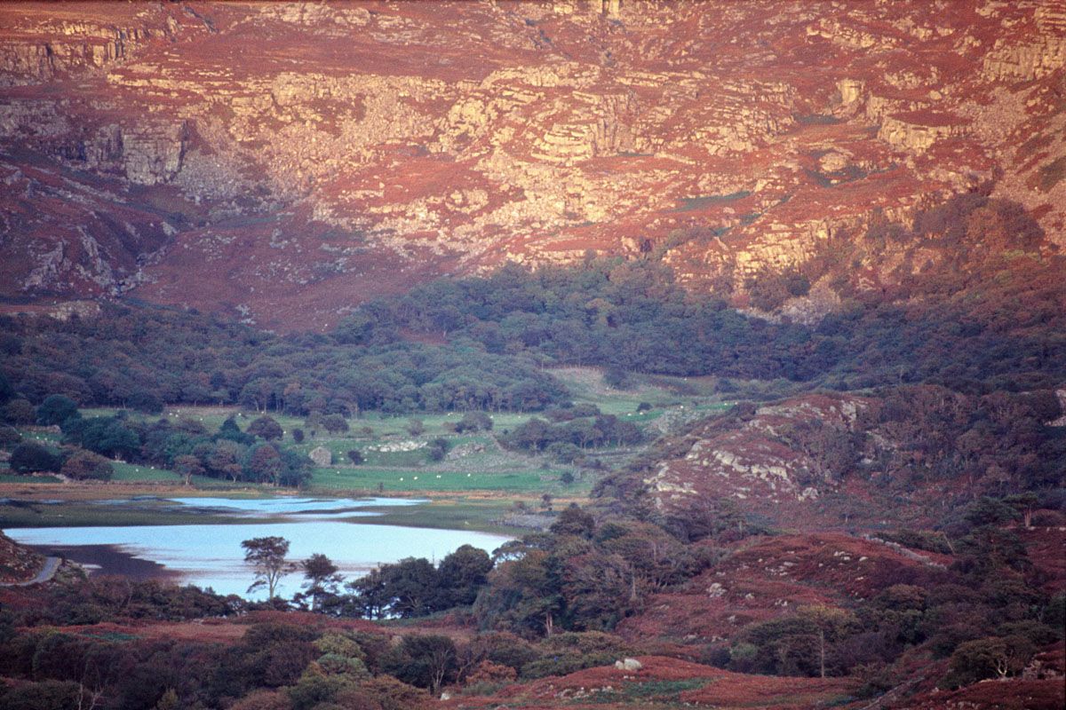 Cwm Bychan at dusk