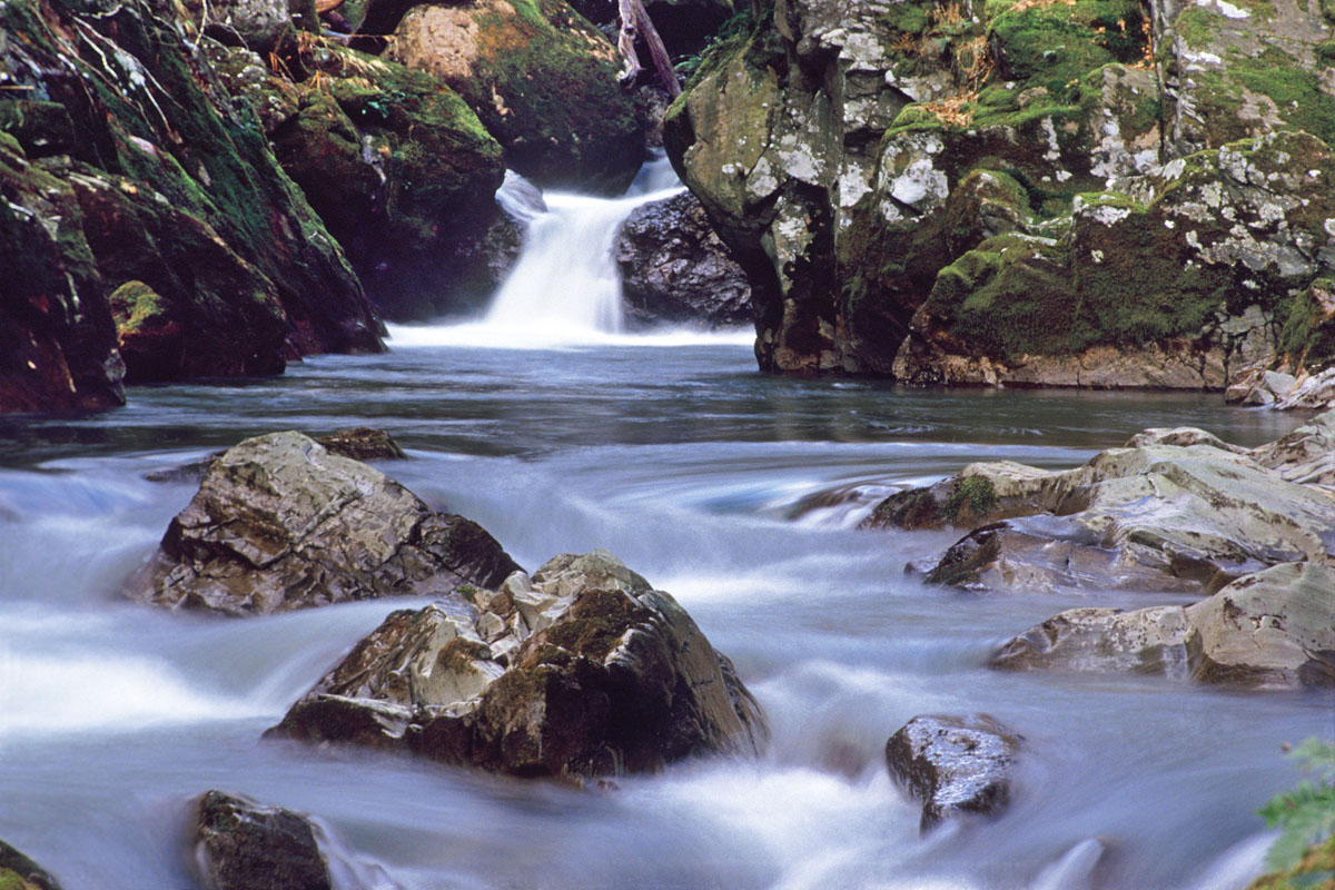 Mountain stream