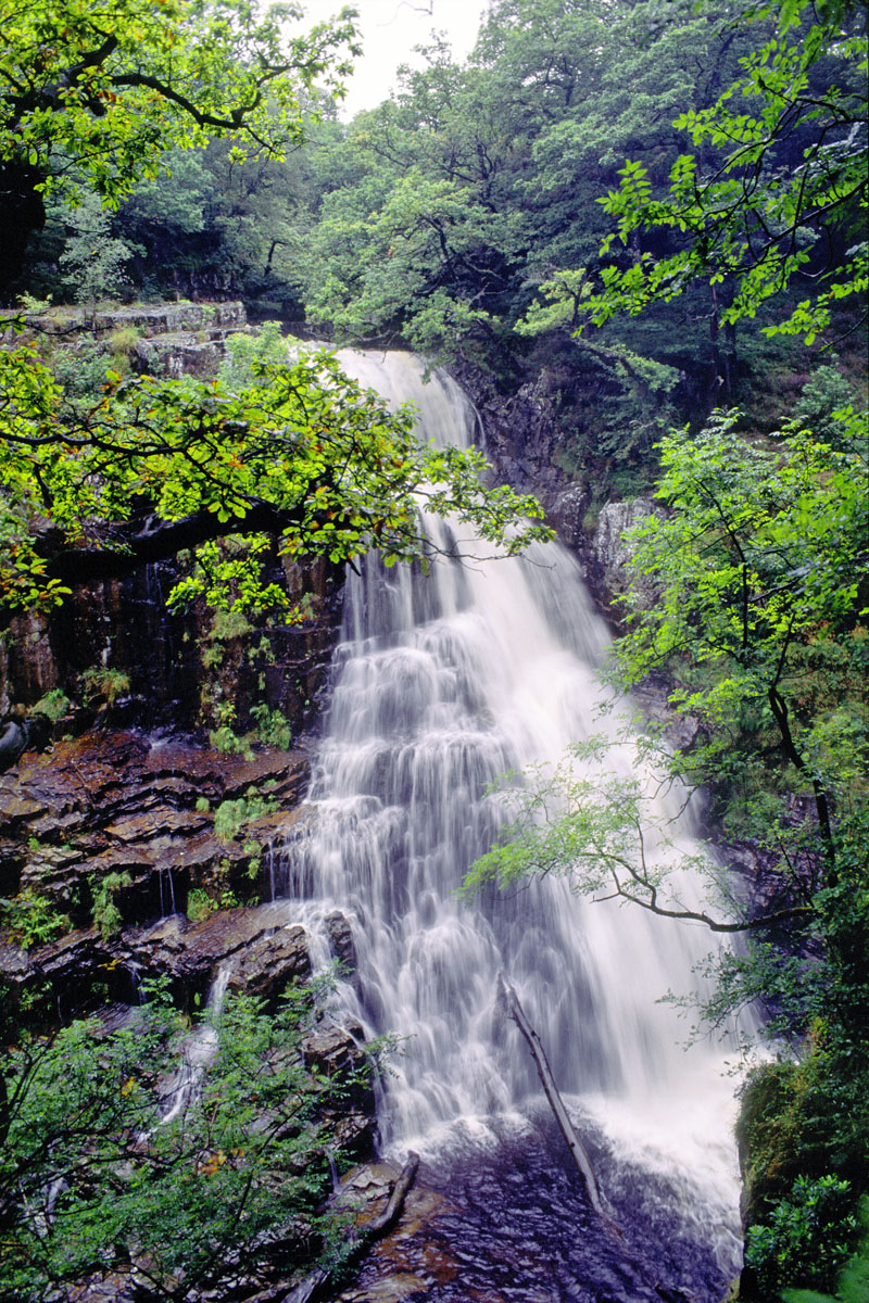 Pistyll Cain, Coed y Brenin Forest