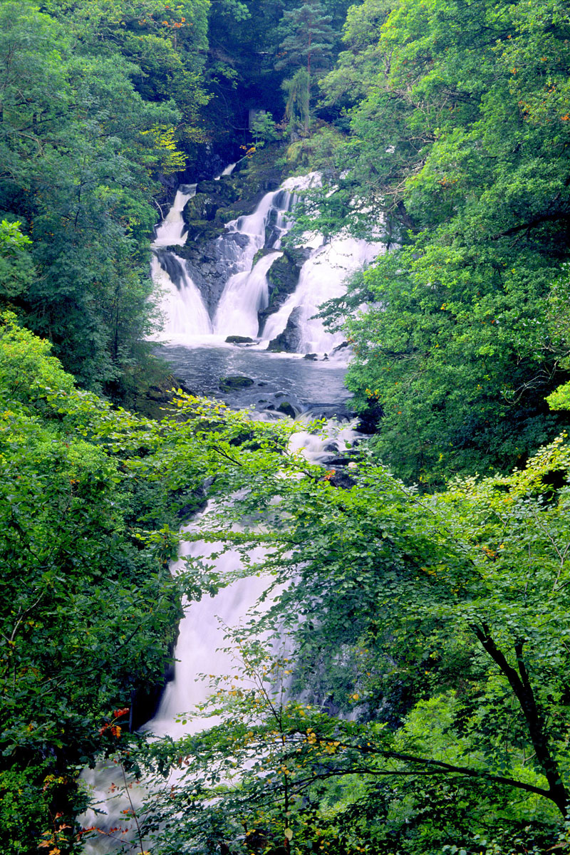 Swallow Falls