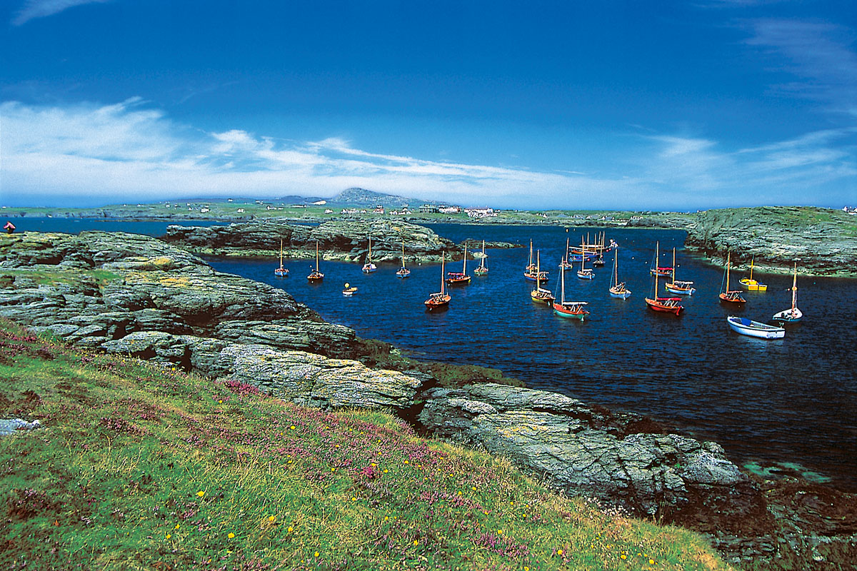 Porth Diana, Trearddur Bay