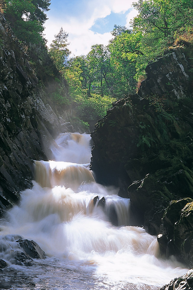 Conwy Falls