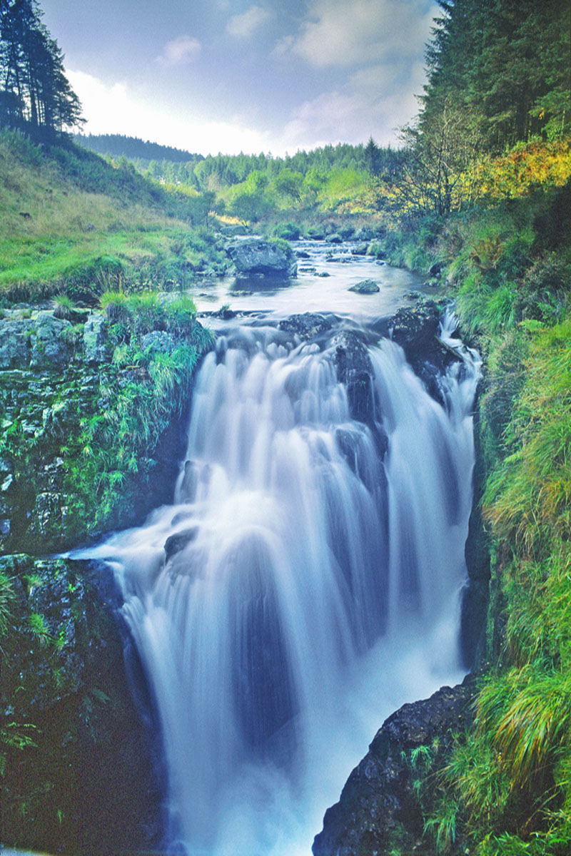 The River Severn close to its source - Hafren Forest