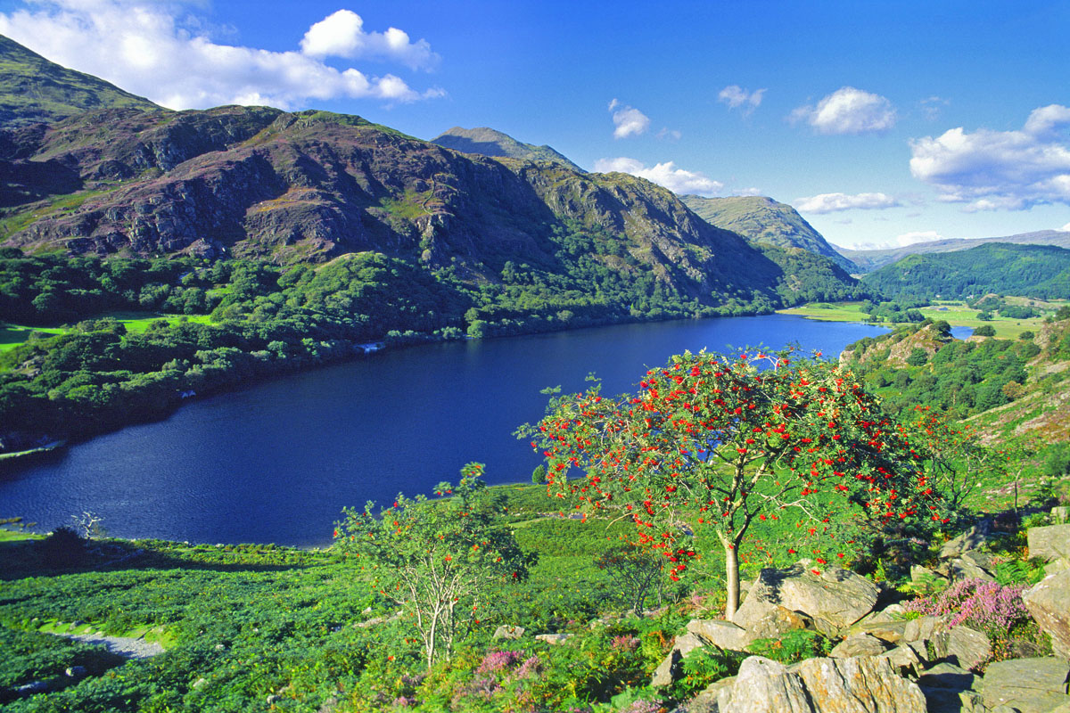 Llyn Dinas, Beddgelert