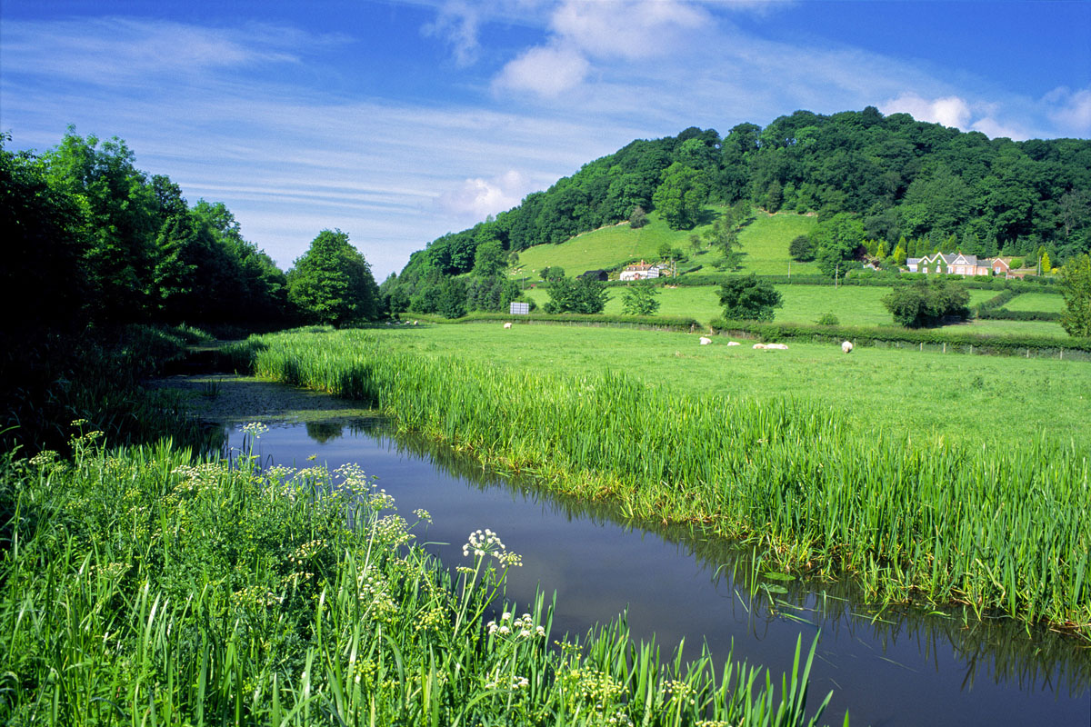 The Shropshire Union Canal at Abermule