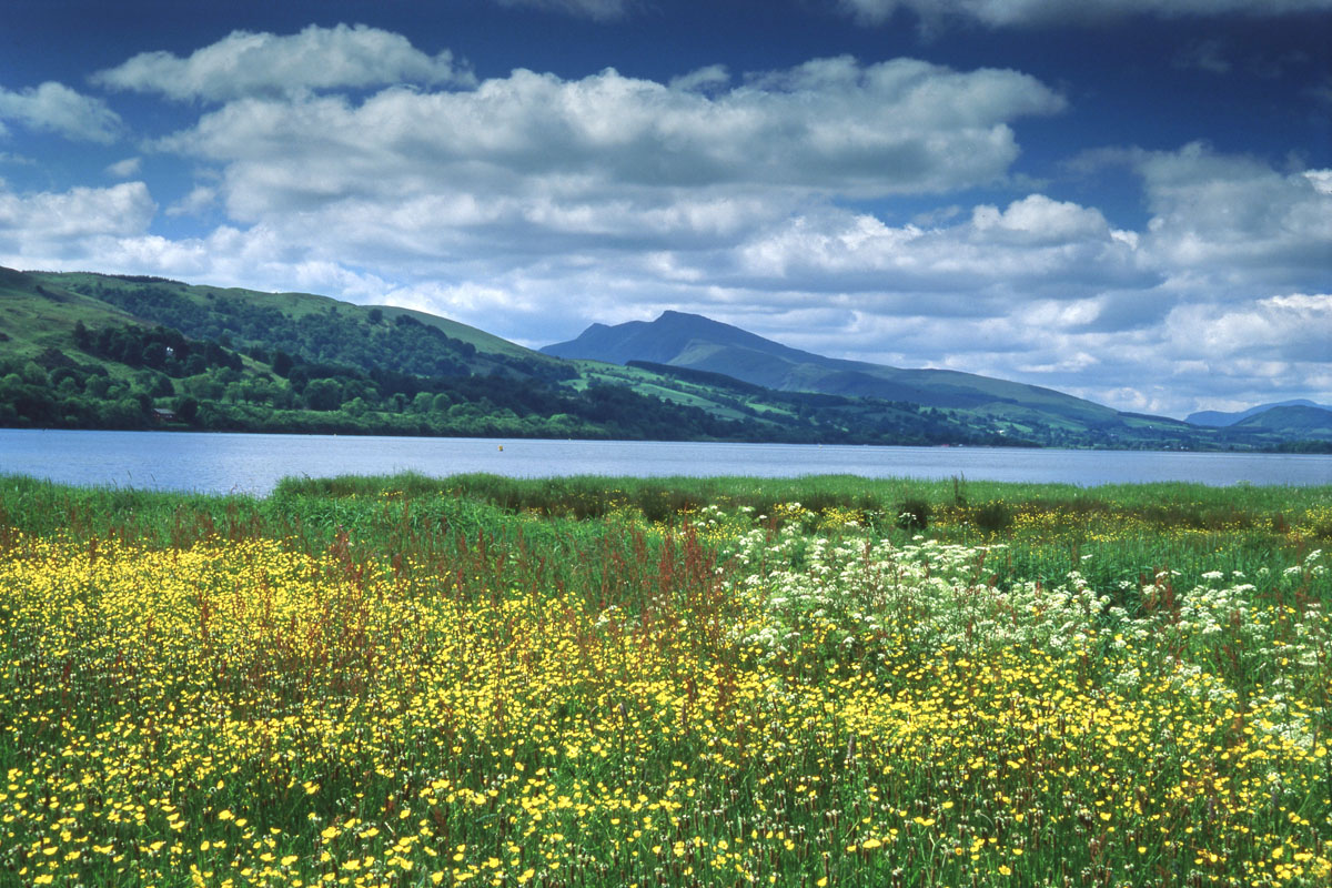 Bala Lake and the Arans