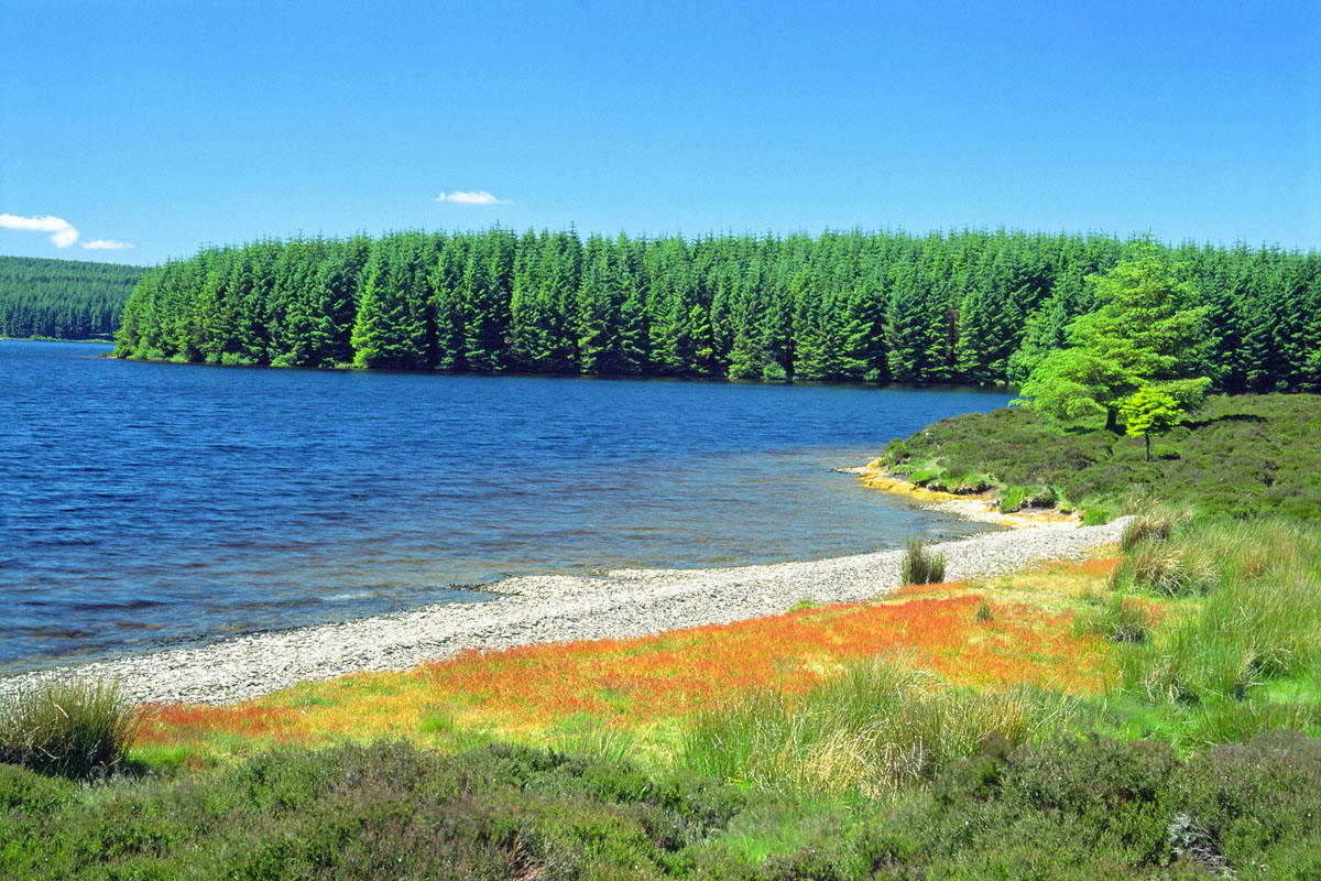 Llyn Brenig