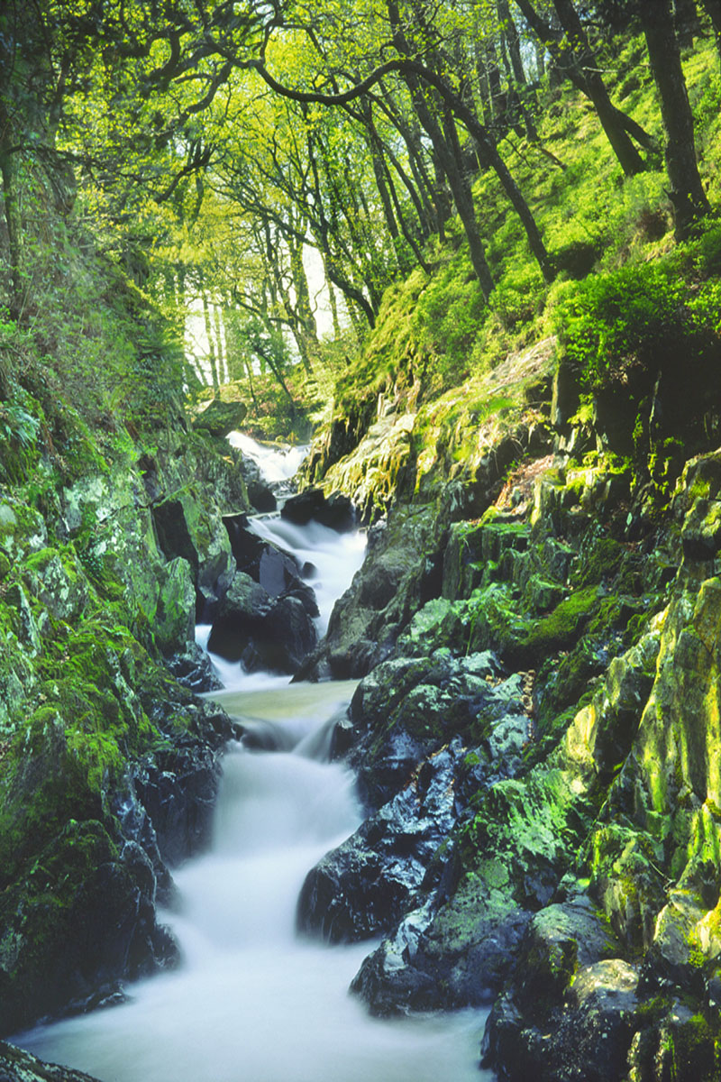 The Nantcol Gorge