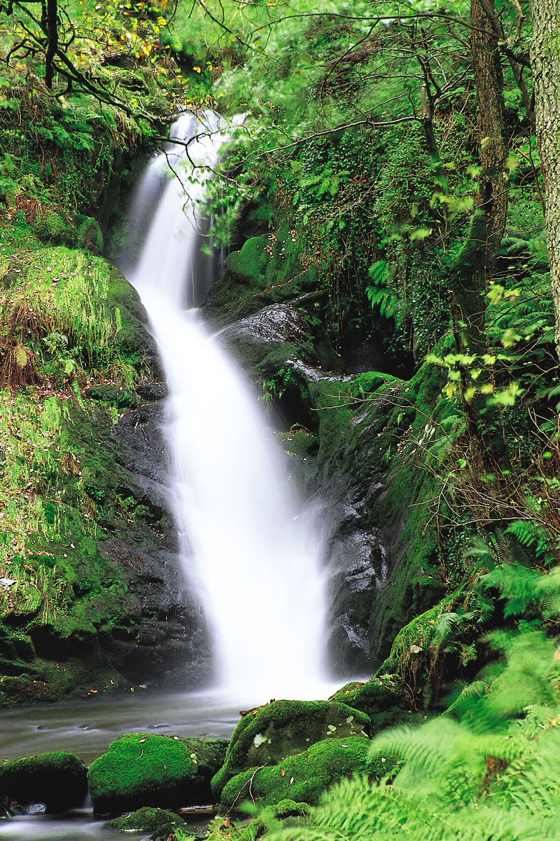 Dolgoch Falls