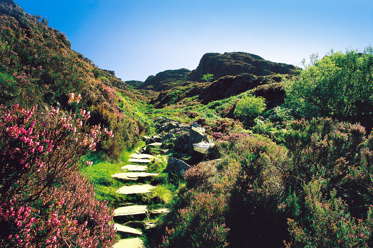 The Roman Steps, Cwm Bychan