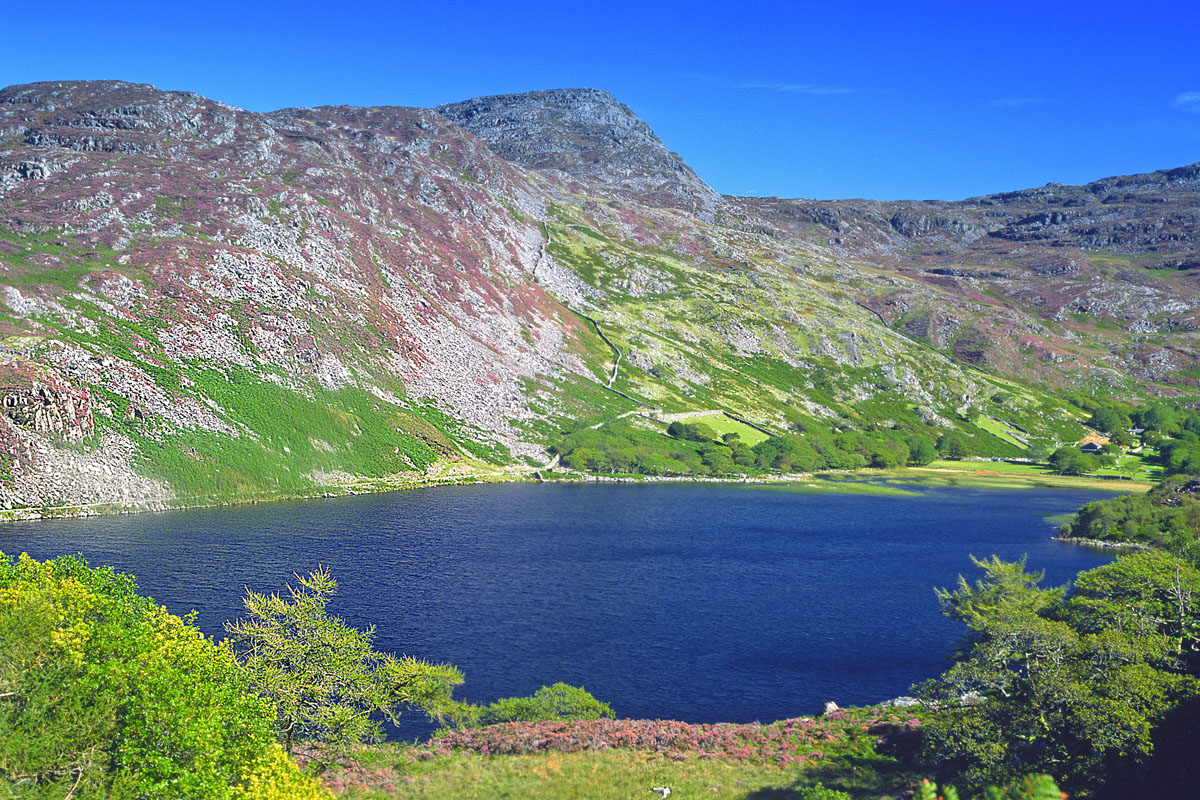 Llyn Cwm Bychan