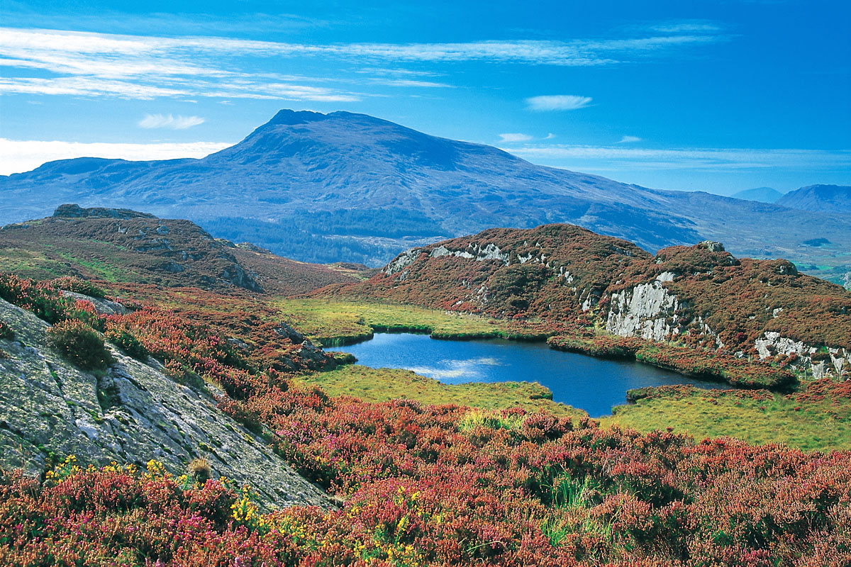 Moel Siabod and Llyn y Coryn