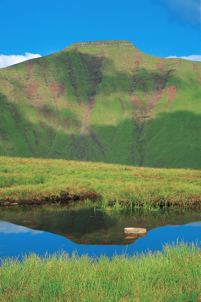 Pen y Fan from Bryn Teg