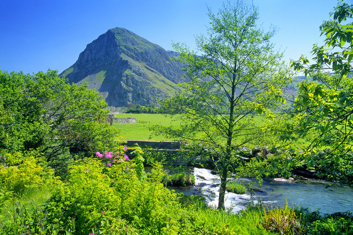 Bird Rock from the Afon Dysynni