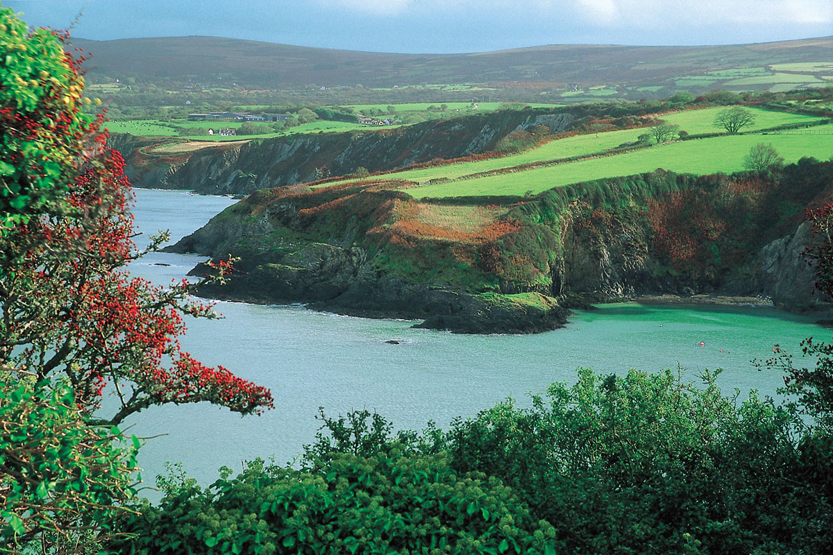The Pembrokeshire Coastal Path From Dinas Island