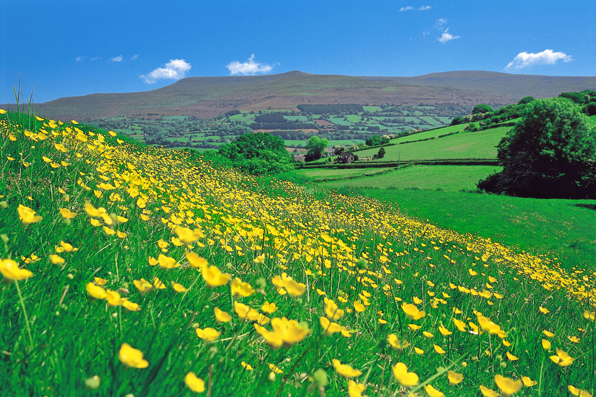 The Black Mountains from Bwlch