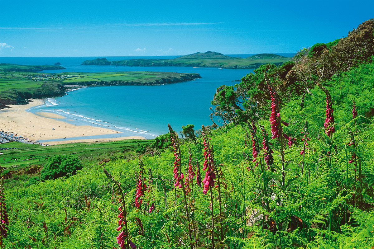 Whitesands Bay and Ramsey Island