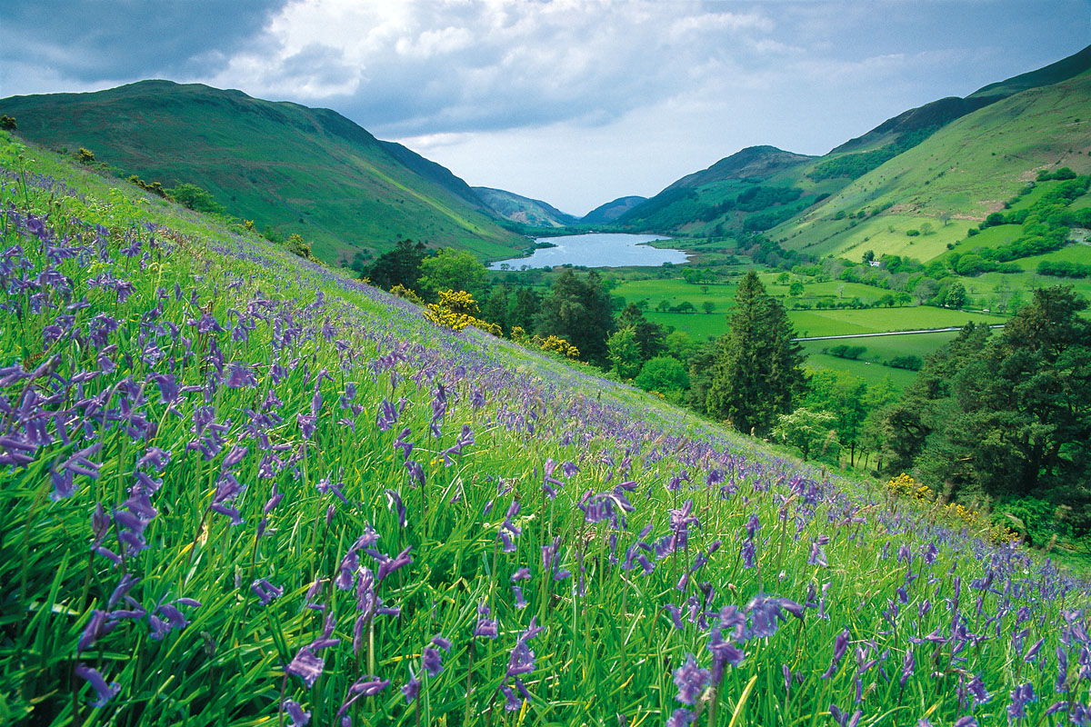 Talyllyn