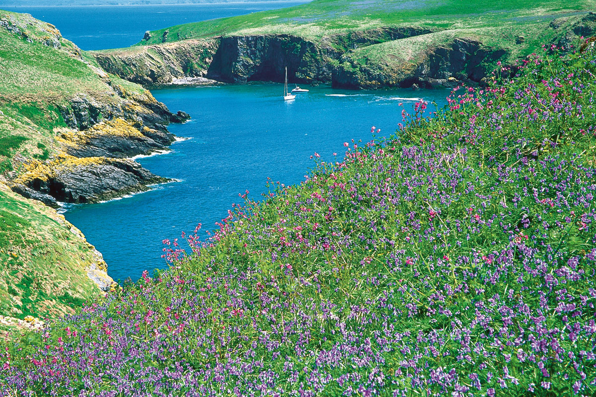 South Haven, Skomer Island