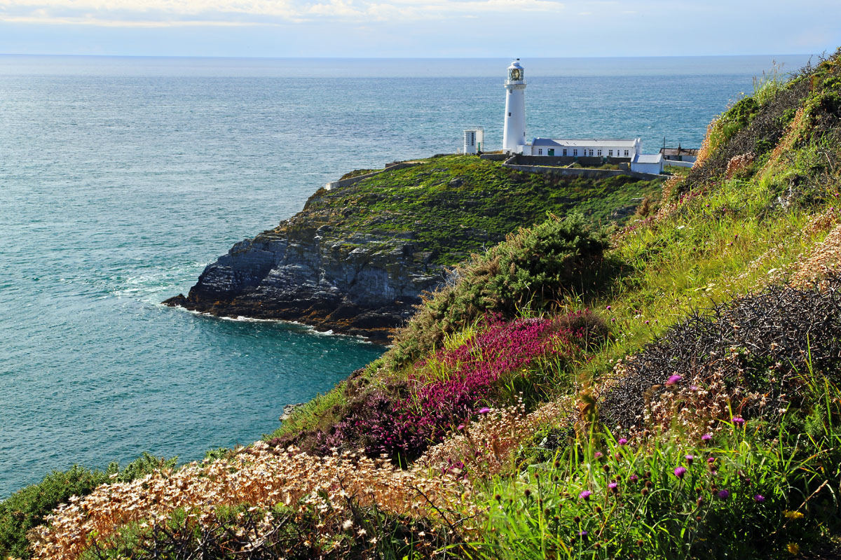 South Stack from the heathland