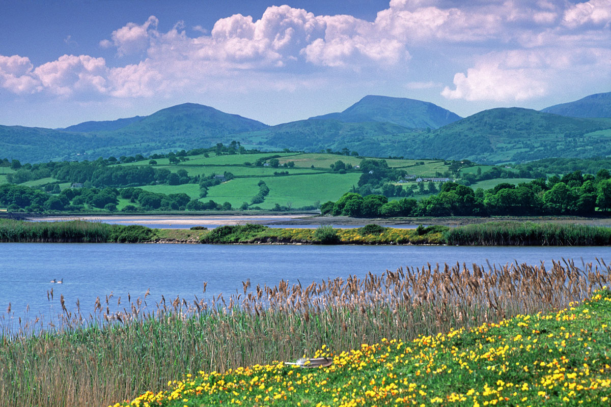 Another stunning view from RSPB Conwy Nature Reserve