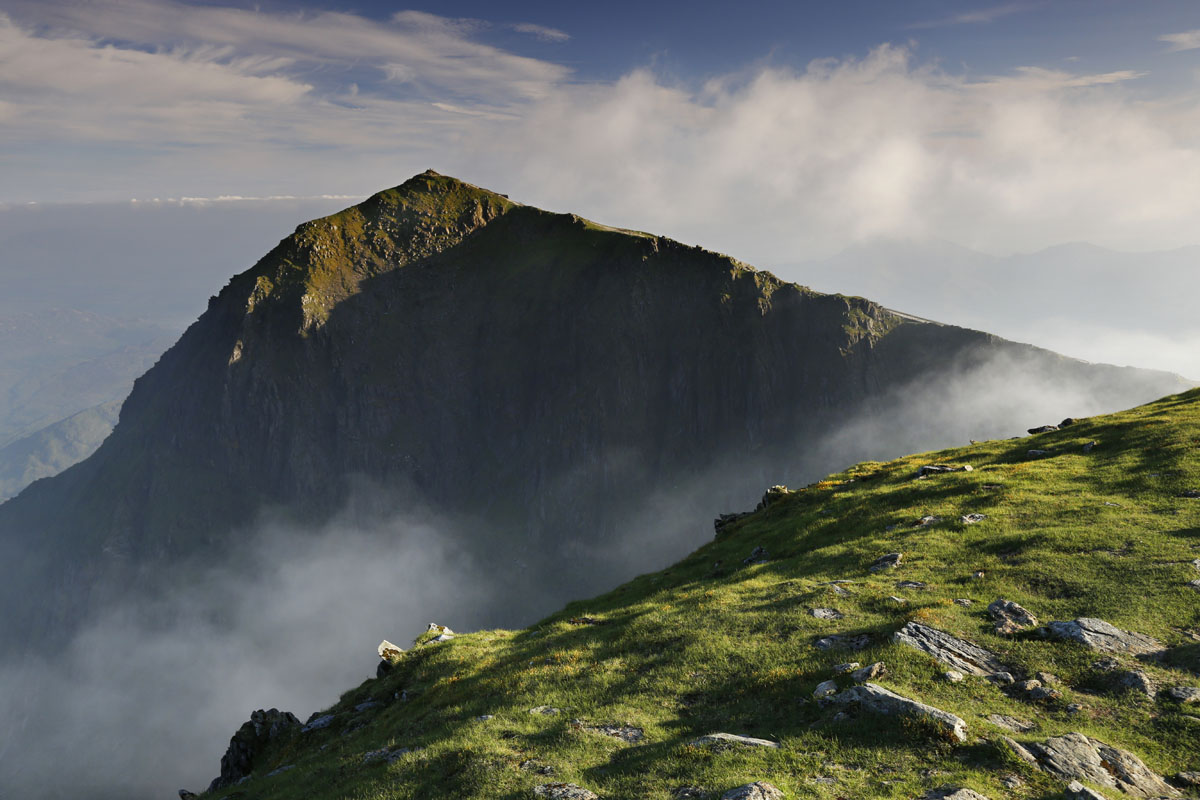 Snowdon Lily and Elidir Fawr