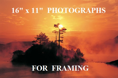 16x11 Photographs for framing