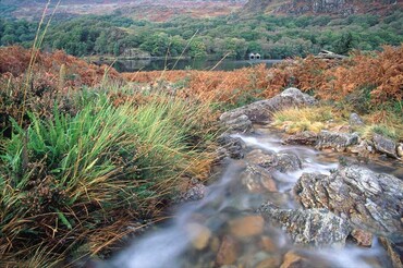 Llyn Dinas