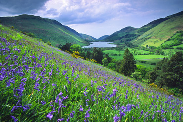 Talyllyn